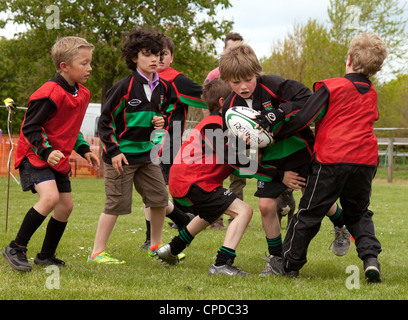 Young boys playing rugby, Newmarket Rugby Club, Suffolk UK Stock Photo