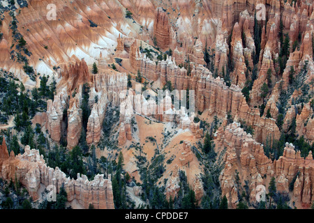 Bryce Canyon National Park in southern Utah. Rugged and dramatic red stone cliffs, looking down on pinnacles, pines. Don Despain