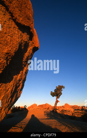 Sunset casts shadows on boulders in Joshua Tree National Park, California, United States of America, North America Stock Photo