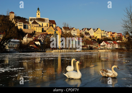 Old town of Horb and the frozen River Neckar, Neckartal (Neckar Valley), Baden-Wurttemberg, Germany, Europe Stock Photo
