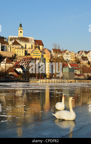 Old town of Horb and the frozen River Neckar, Neckartal (Neckar Valley), Baden-Wurttemberg, Germany, Europe Stock Photo