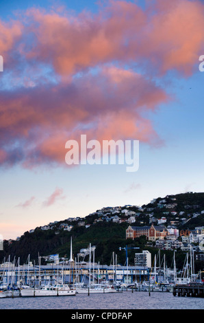 Wellington, North Island, New Zealand, Pacific Stock Photo