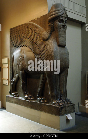 Colossal statue of a winged lion with a human face. 865-860 BC. From Northwest Palace of Ashurnasirpal II. Nimrud. Stock Photo