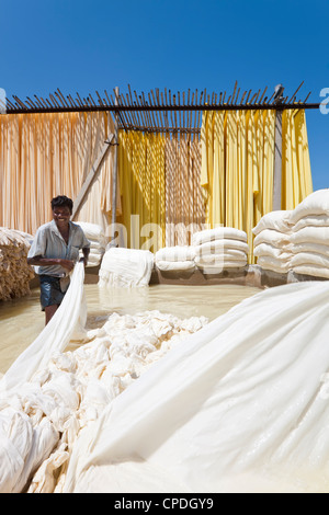 Washing fabric in a bleaching pool, Sari garment factory, Rajasthan, India, Asia Stock Photo