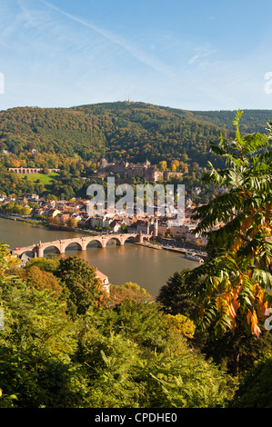 Elevated view of the Old Bridge, Neckar River and rooftops in ...