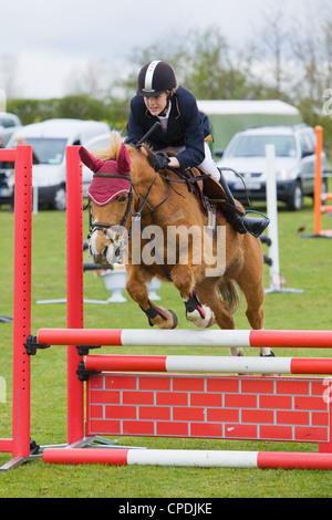 A horse and rider competing in a show jumping event held outside on a ...