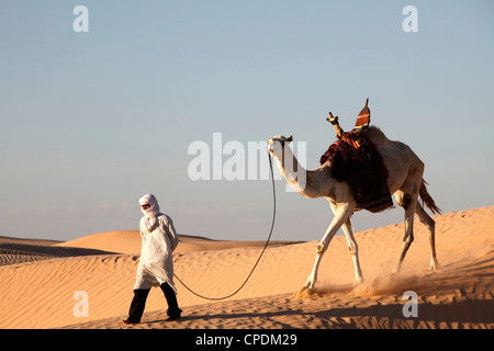 Camel driver in the Sahara desert, near Douz, Kebili, Tunisia, North Africa, Africa Stock Photo