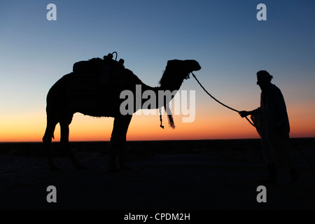 Camel driver at dusk in the Sahara desert, near Douz, Kebili, Tunisia, North Africa, Africa Stock Photo