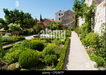 Medieval mediterranean garden of St. Lawrence Monastery, Sibenik, Dalmatia region, Croatia, Europe Stock Photo