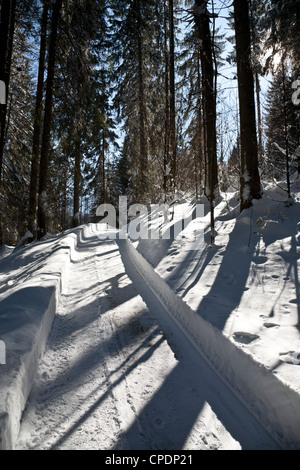 Deep, crisp snow on an alpine footpath through woods at Garmisch-Partenkirchen, Germany Stock Photo