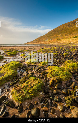 Grass mounds and smooth pebbles on Applecross beach, Highlands, Scotland, UK Stock Photo
