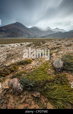 The Five Sisters of Kintail and seaweed covered rocks, Glen Sheil, Highlands, Scotland, UK Stock Photo
