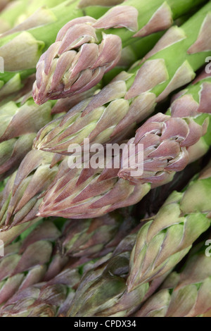 Fresh asparagus background Stock Photo