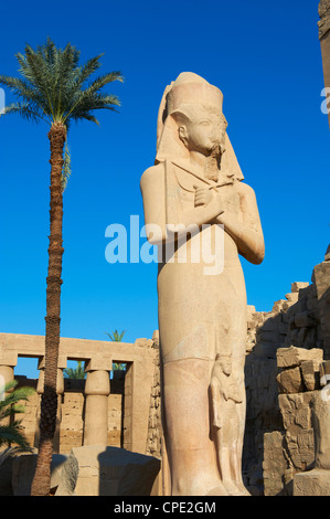 Colossus of Rameses II, Temple of Amun, Karnak, Thebes, UNESCO World Heritage Site, Egypt, North Africa, Africa Stock Photo