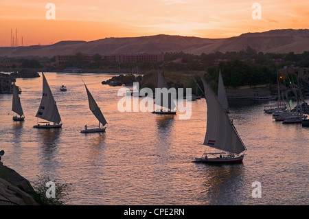 Feluccas on the River Nile, Aswan, Egypt, North Africa, Africa Stock Photo