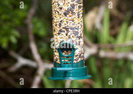 close up of cheap plastic seed bird feeder hanging in a garden to attract wild birds in the uk Stock Photo