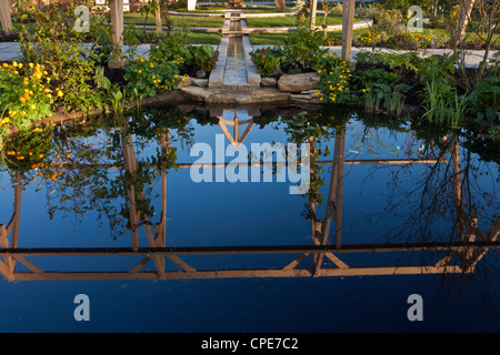 Garden with garden rill water feature made from stone in spring and planting of water marginal plants  UK Stock Photo