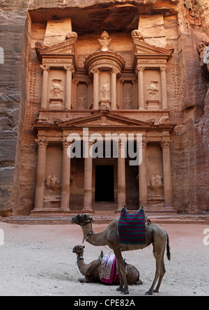 Camels In Front Of Al Khazneh Treasury Ruins, Petra, Jordan Stock Photo