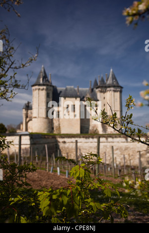 Chateau de Saumur, UNESCO World Heritage Site, Saumur, Maine-et-Loire, Loire  Valley, France, Europe Stock Photo