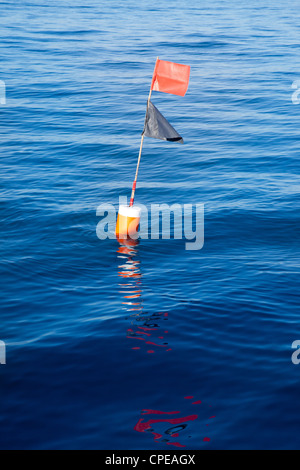 Longliner and trammel net buoy with flag pole in blue sea Stock Photo