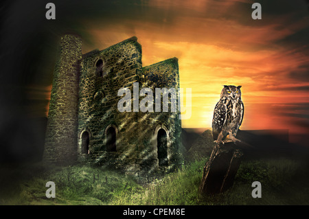 Spooky abandoned tin mine the middle of nowhere with owl sitting on woodbark in the foreground. Stock Photo