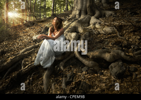 Young beautiful fairy woman wearing white dress sitting on giant tree roots in an enchanted forest Stock Photo