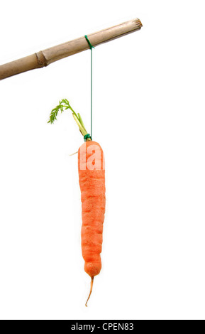 Carrot on a string Stock Photo