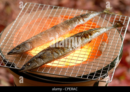 Close Up Of Fishes On Grill Stock Photo