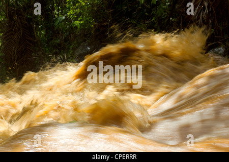 Mud and water pouring down a jungle watercourse after very heavy rain. On the Pacific coast of Ecuador. Stock Photo