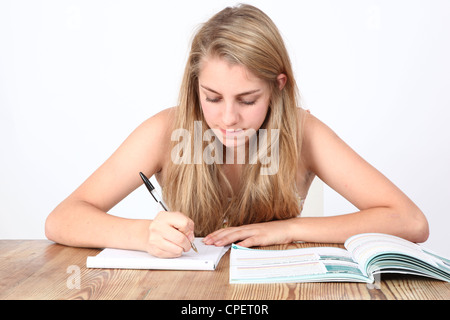 Teenage girl studying. Stock Photo