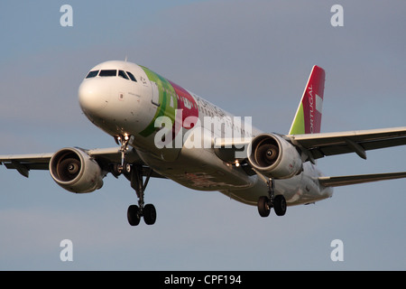 TAP Portugal Airbus A320 airliner on arrival. Close up front view of aircraft. Stock Photo