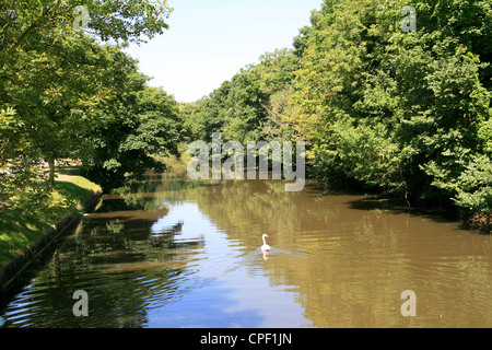 Royal Military Canal Hythe Kent England UK Stock Photo