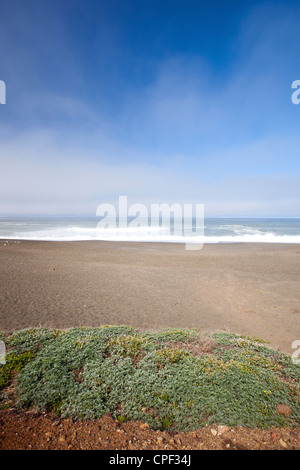 California Beaches Stock Photo