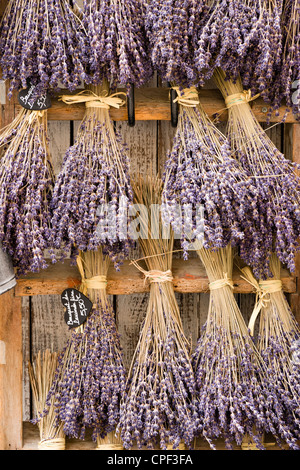 Dry lavender branches hanging on a door, Le Castelet, Var, Provence, France Stock Photo