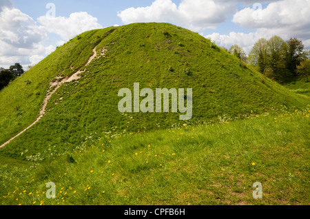 Castle Hill motte mound Thetford Norfolk England Stock Photo