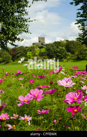 Clitheroe Castle in the Ribble Valley Lancashire England Stock Photo