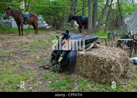 Cavalry escadron disposition , Civil War reenactment , Bensalem,  Pennsylvania,USA Stock Photo