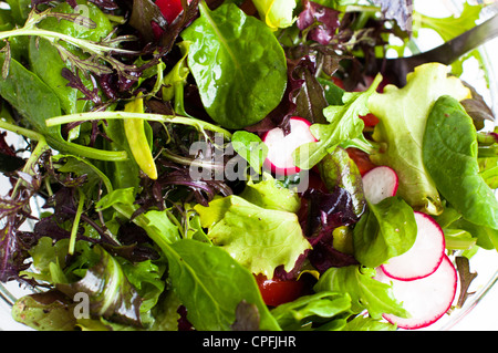Freshly prepared mixed salad greens for healthy eating.