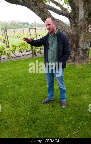 New Zealand South Island Nelson, wine and salmon food and wine tasting at  Neudorf Vineyards with winemaker John Kavanagh, Stock Photo