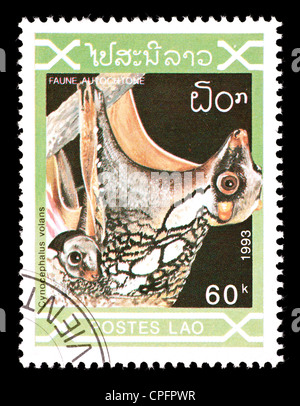 Postage stamp from Laos depicting a Philippine flying lemur (Cynocephalus volans) Stock Photo