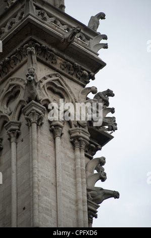 Gargoyles on Notre Dame Cathedral, Paris France Stock Photo