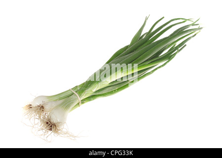 green onions photo on the white background Stock Photo