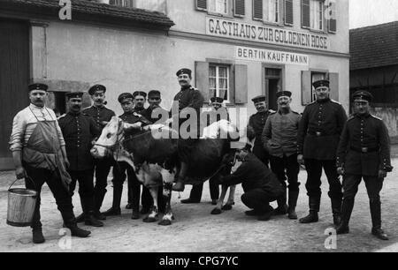 military, Germany, group of soldiers with a cow in front of a restaurant, circa 1910, Additional-Rights-Clearences-Not Available Stock Photo