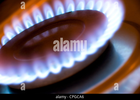 Gas flame on a kitchen hob Stock Photo