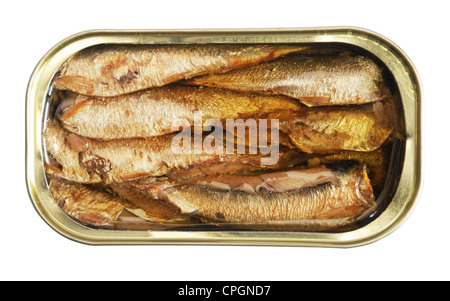 isolated blank tin of fish over white including clipping path