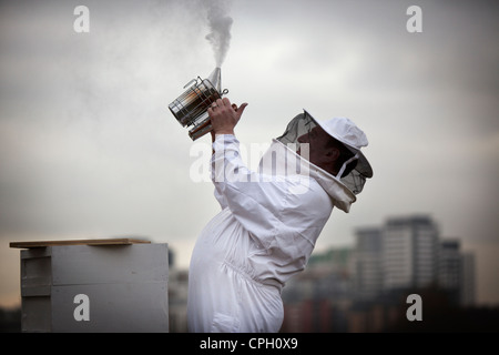 Urban bee keeper in Collyhurst Manchester UK Stock Photo