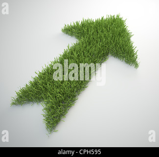 An arrow made out of a patch of grass Stock Photo