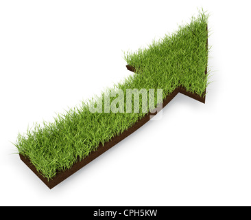 An arrow made out of a patch of grass Stock Photo