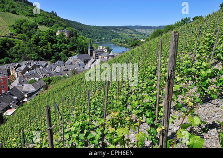 Bernkastel, Germany, Europe, circle, ring, Moselle, Palatinate, Rhineland, town, valley, Trabach, Traben, Trarbach, wine, wine c Stock Photo