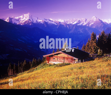 Austria, Europe, Tyrol, Zillertal, Höhenstrasse, panorama, mayerhofen, ahornspitze, alpine hut, flowers, meadow, alm, Alp, scene Stock Photo